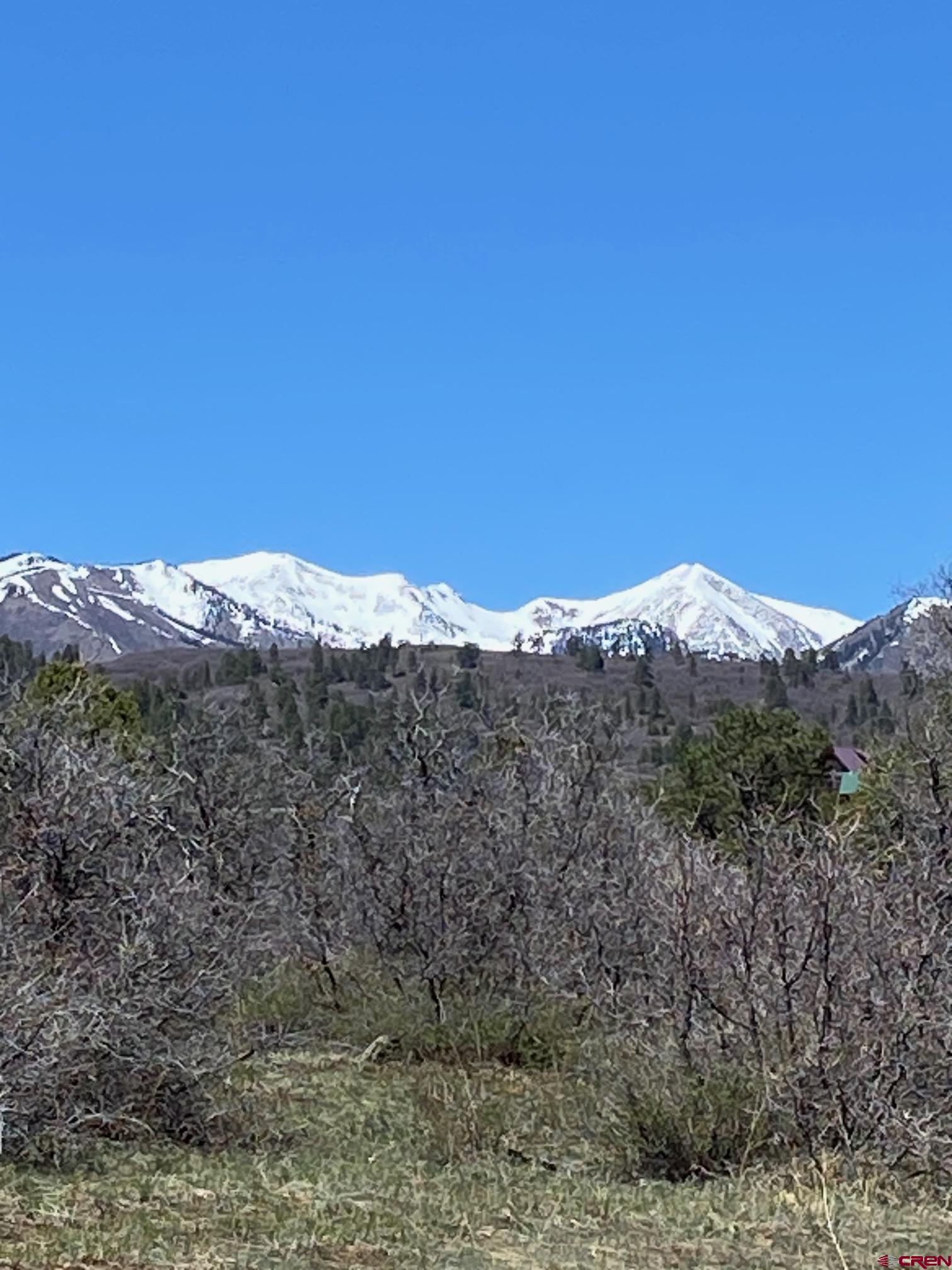 a view of a mountain range with trees in the background