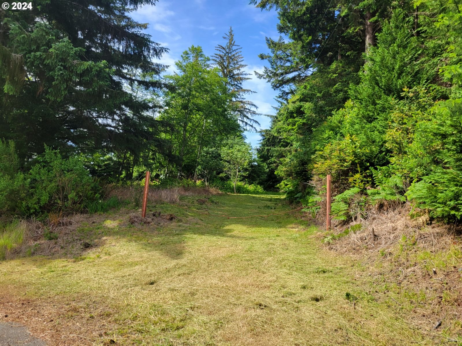 a backyard of a house with lots of green space