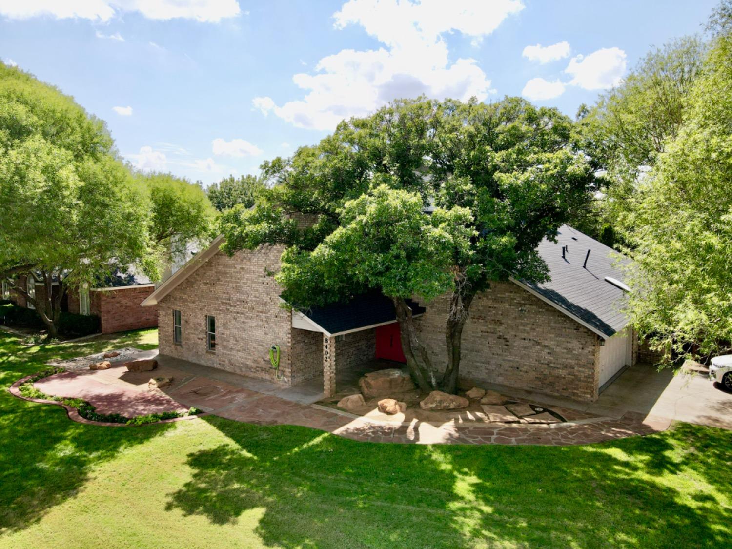 a view of a backyard with plants and a garden