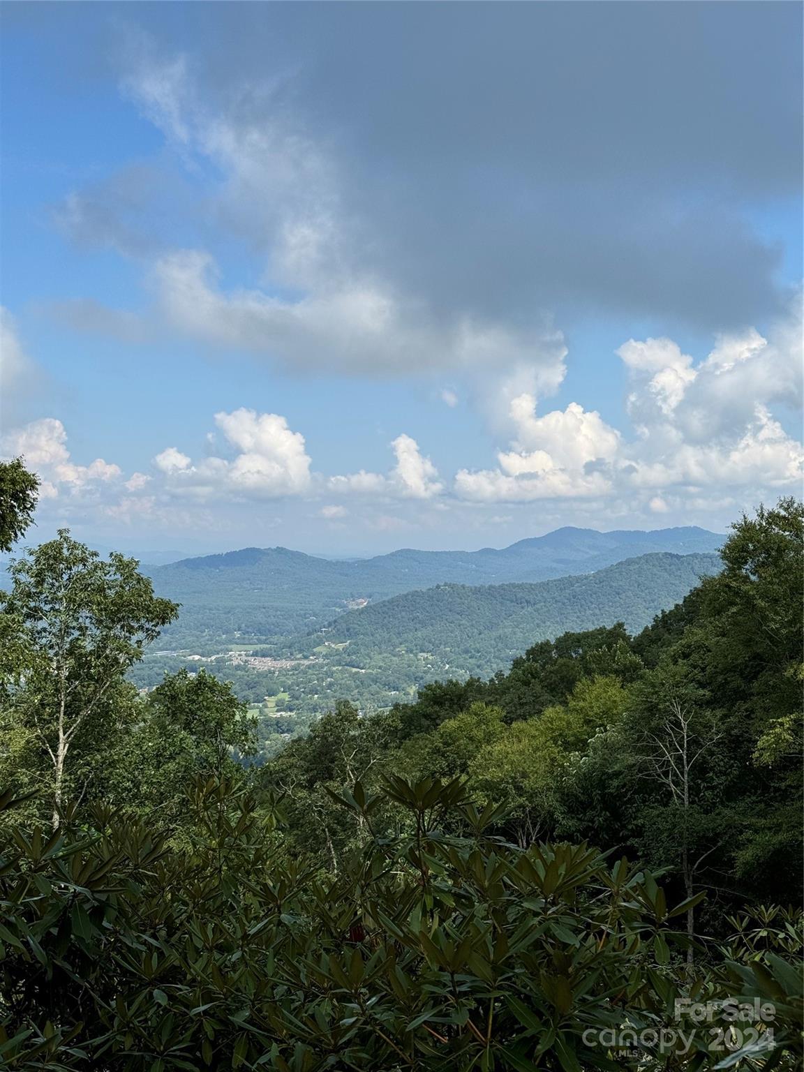 a view of a city with lush green forest