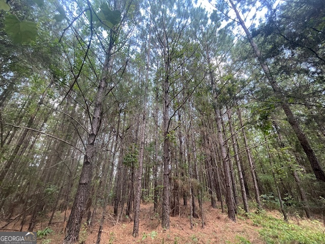 a view of covered with trees