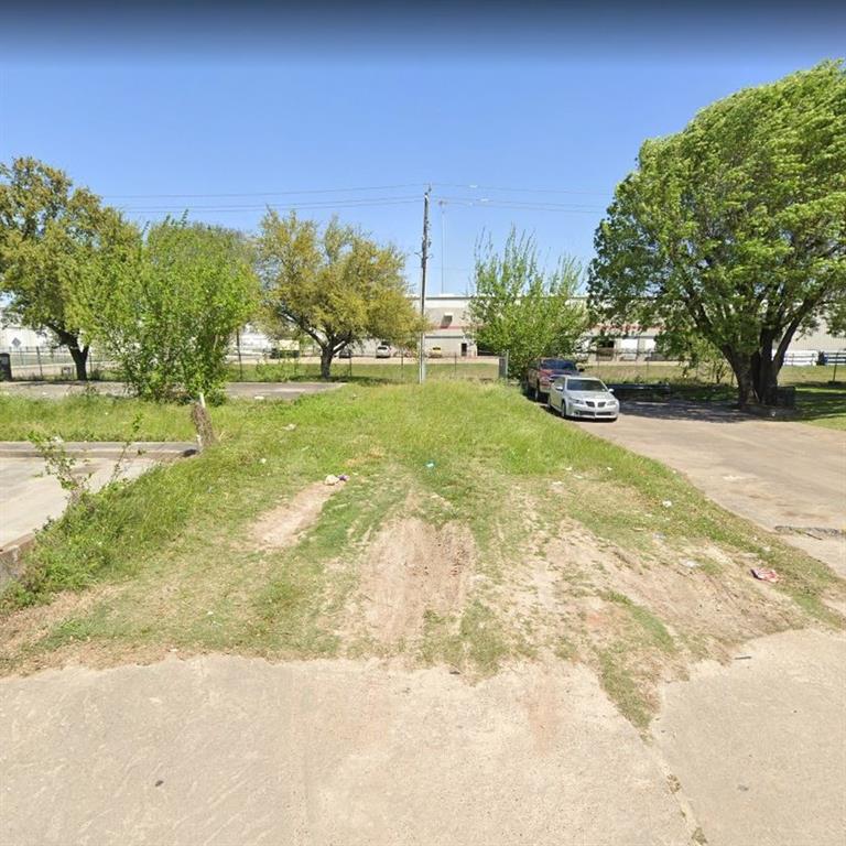 a view of a yard with an trees