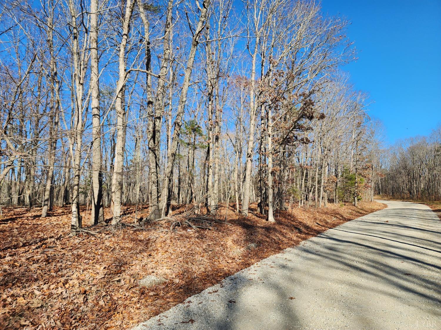 a view of outdoor space with trees