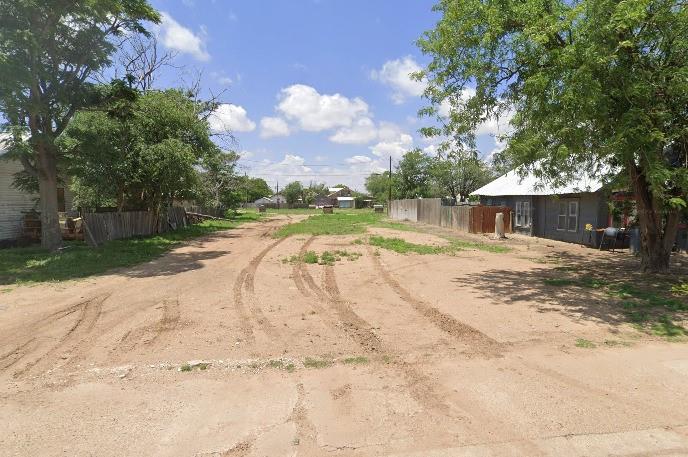 a view of a yard with plants and large trees