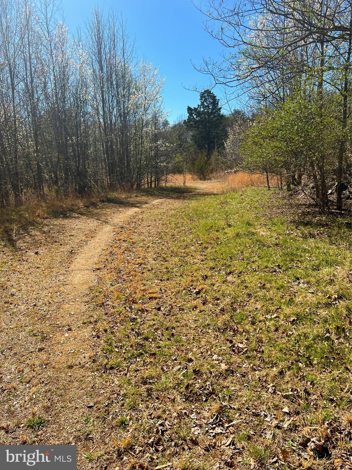 a view of open space with a yard