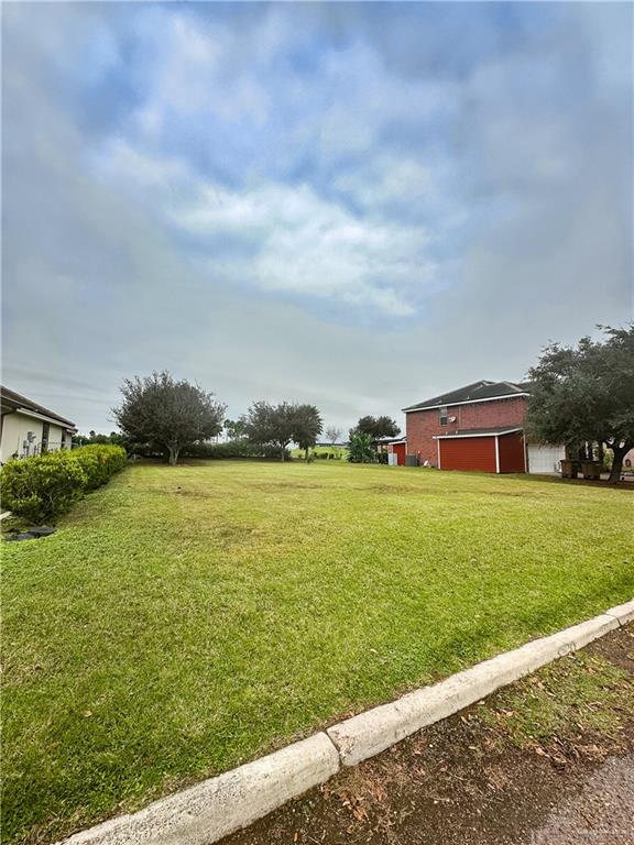 a view of a big yard with a large tree