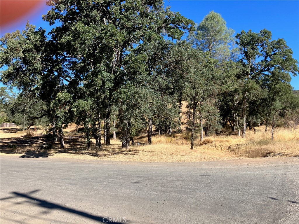 a view of road with trees