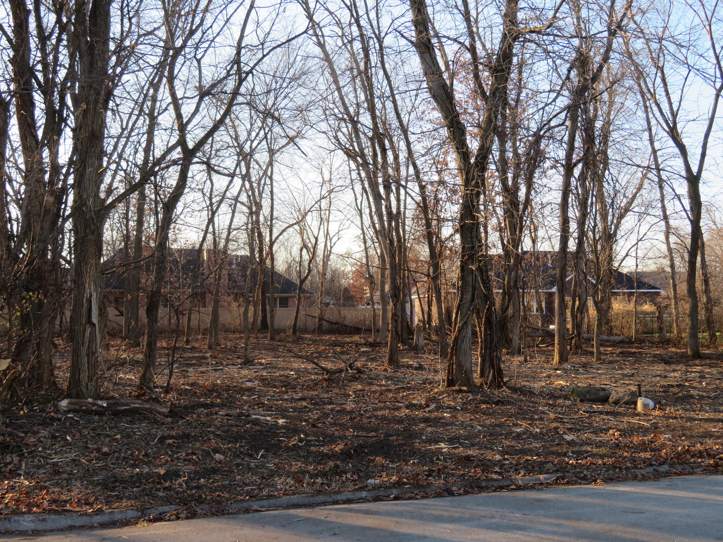 a view of outdoor space with trees