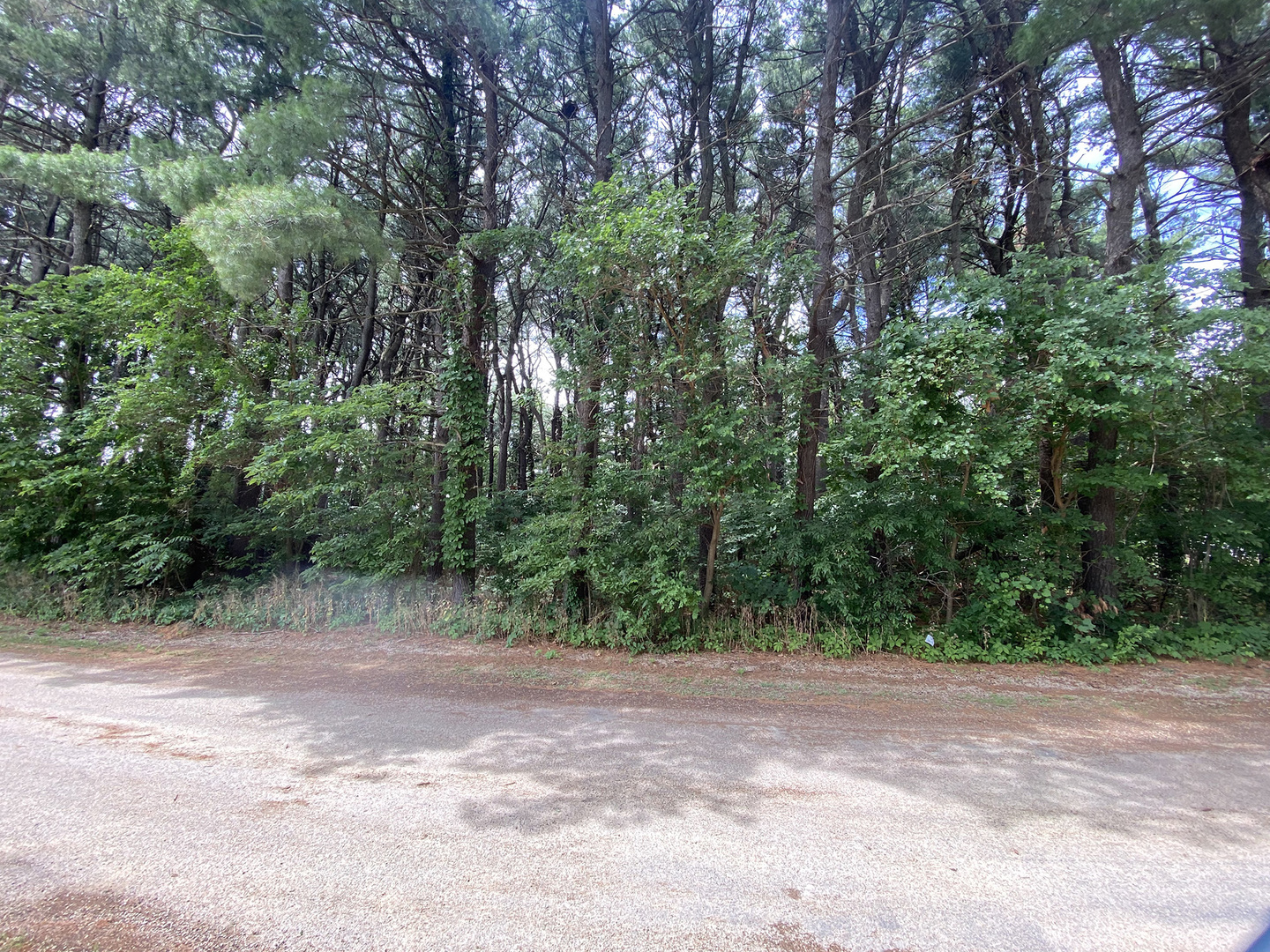 a view of outdoor space and yard