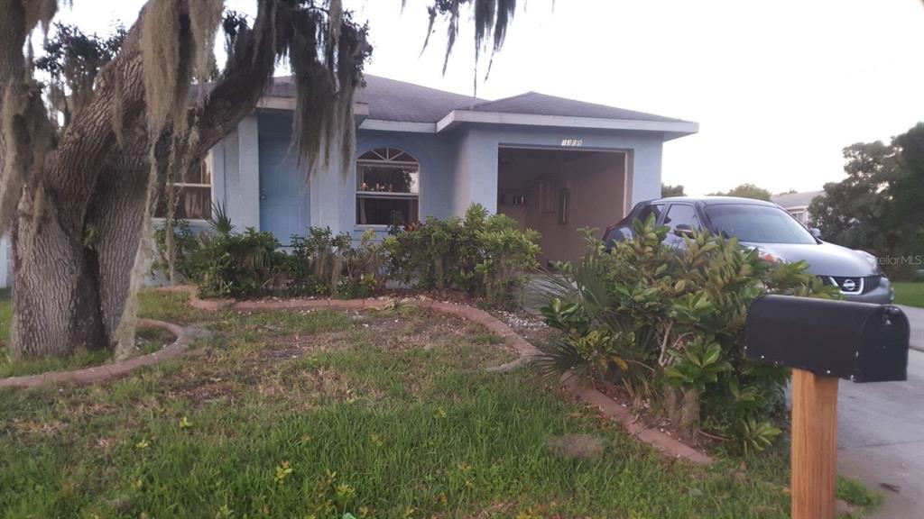 a view of a house with a yard and plants