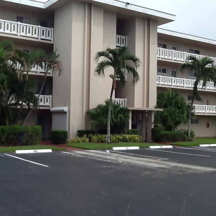 a palm tree in front of a building