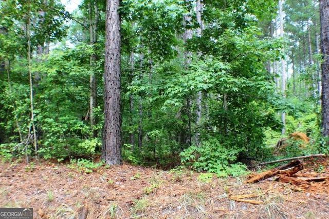 $59,900 | 0 New Evergreen Church Road