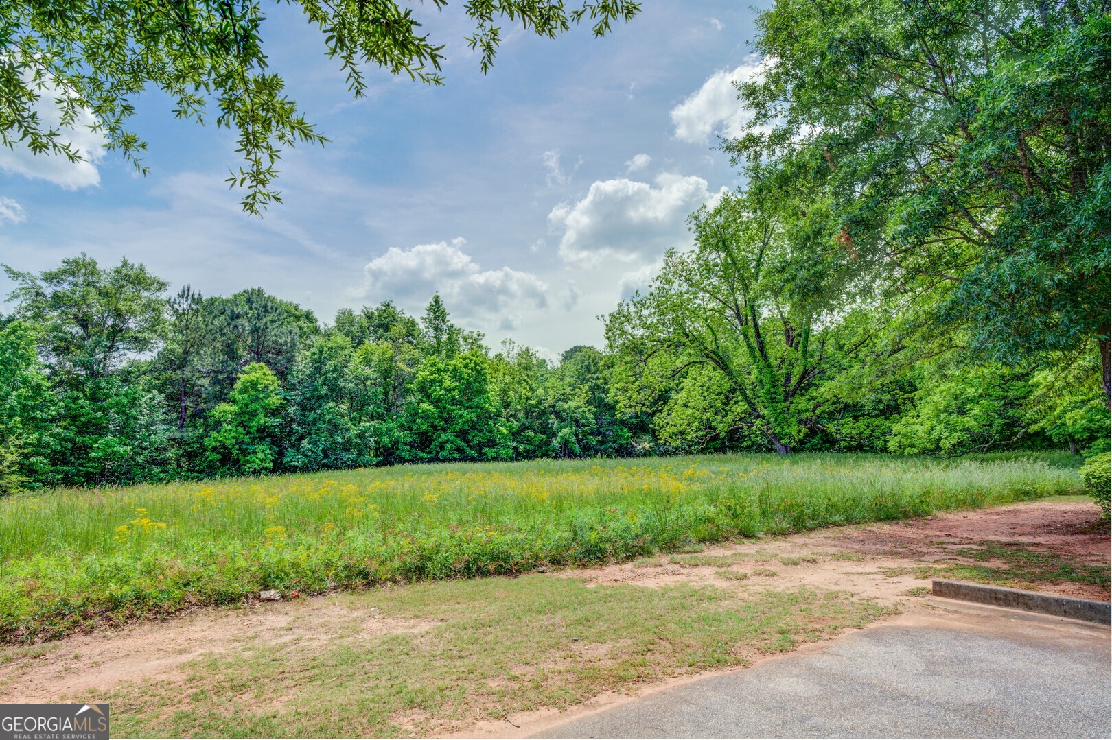 a view of a park