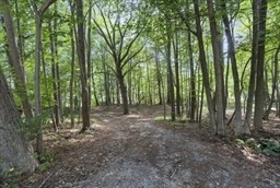 a view of outdoor space and trees