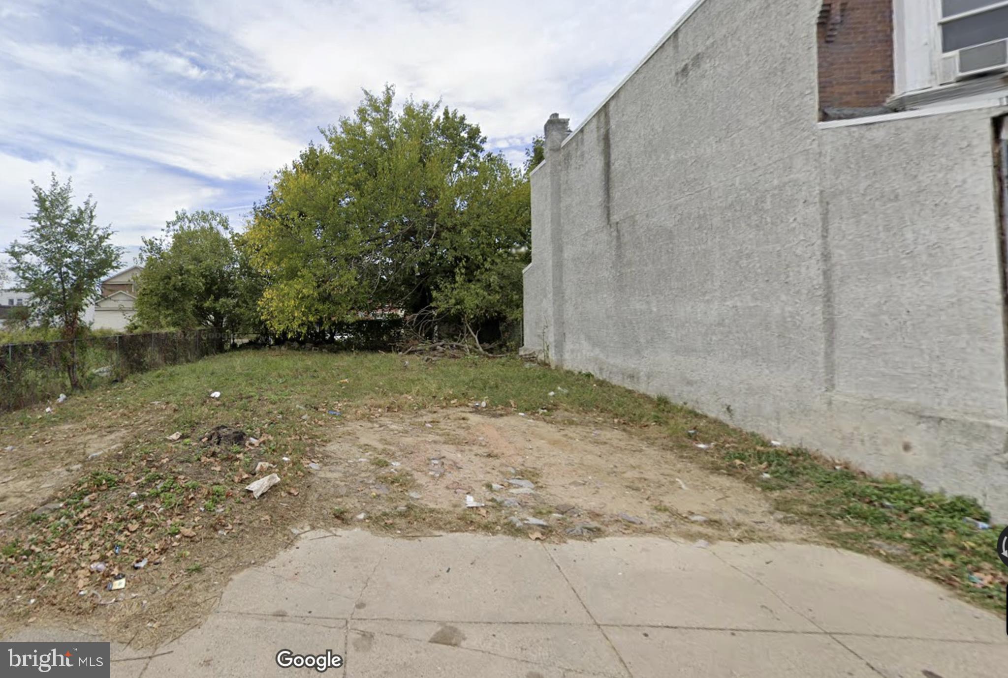 a view of a yard with trees