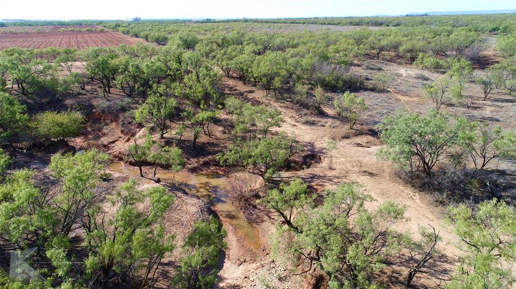 an aerial view of forest