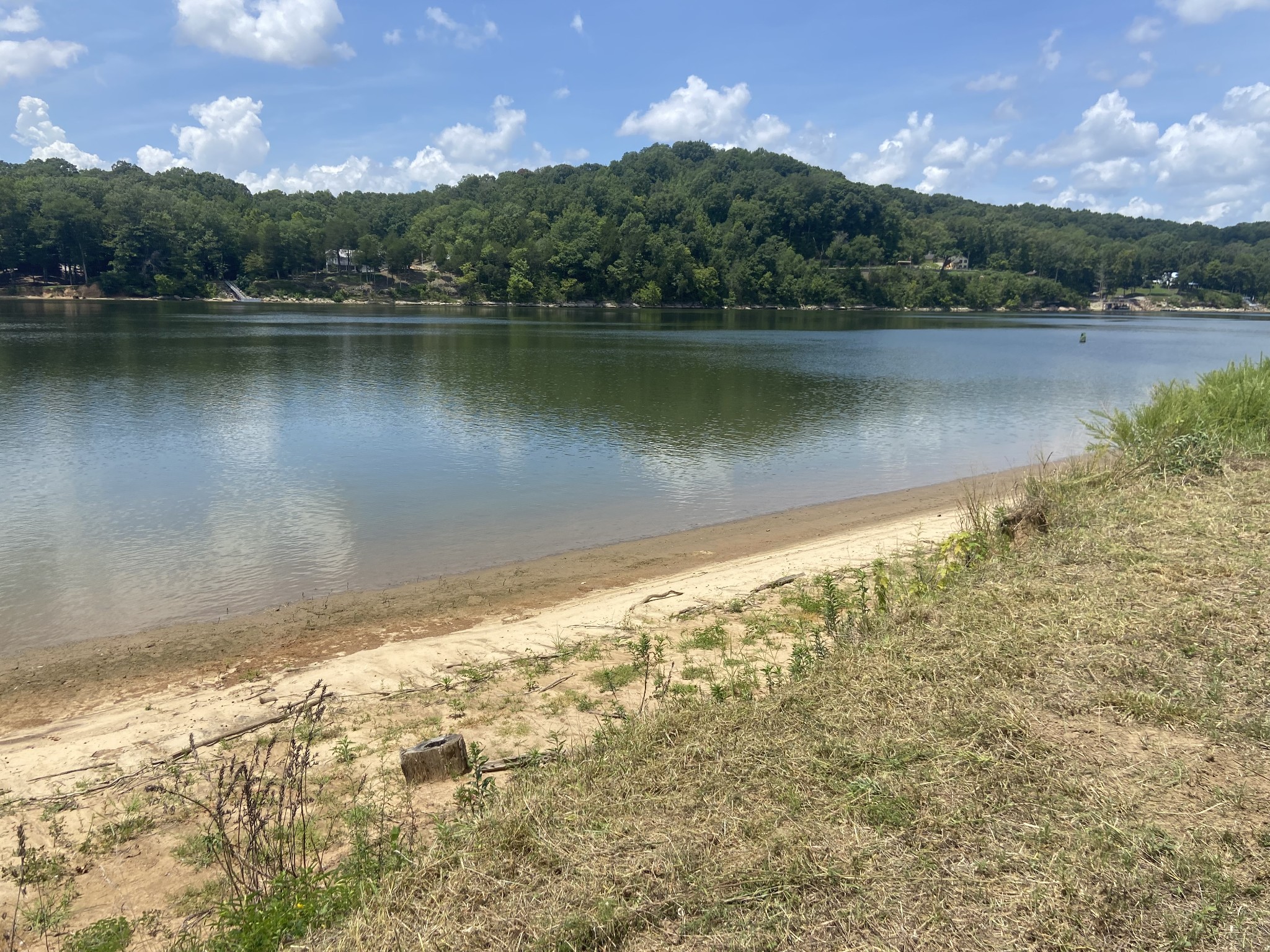 a view of a lake from a yard