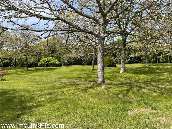 a view of a field with trees