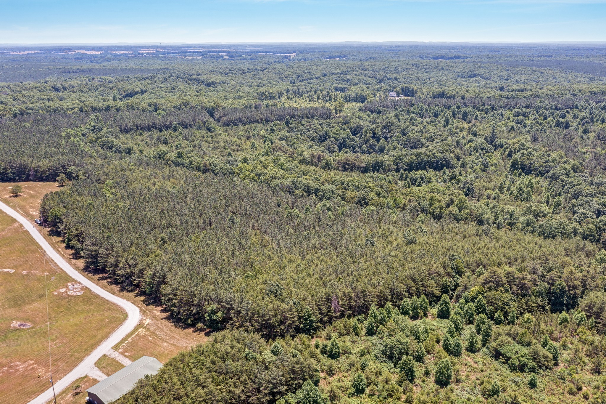 a view of a forest with a yard