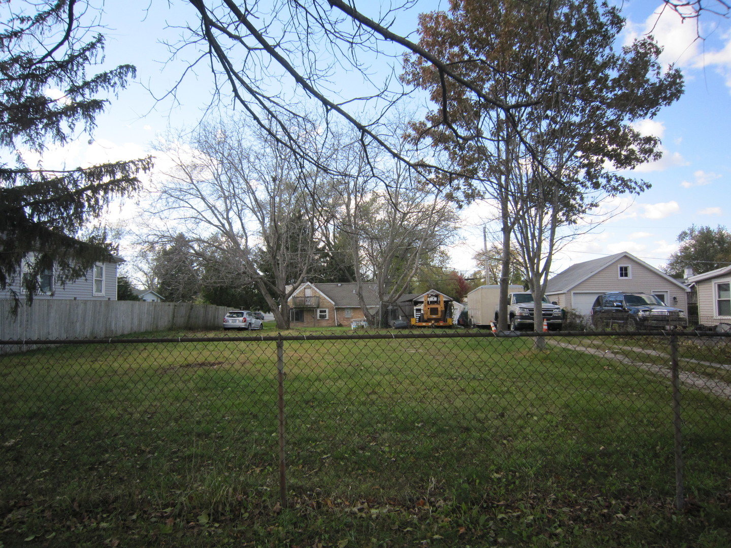 a view of a large garden with plants and large trees