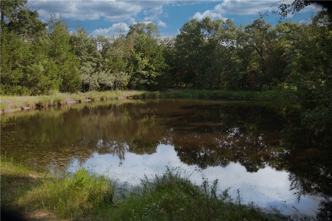 Stock Pond.