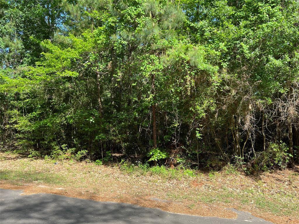 a view of a yard with plants and trees