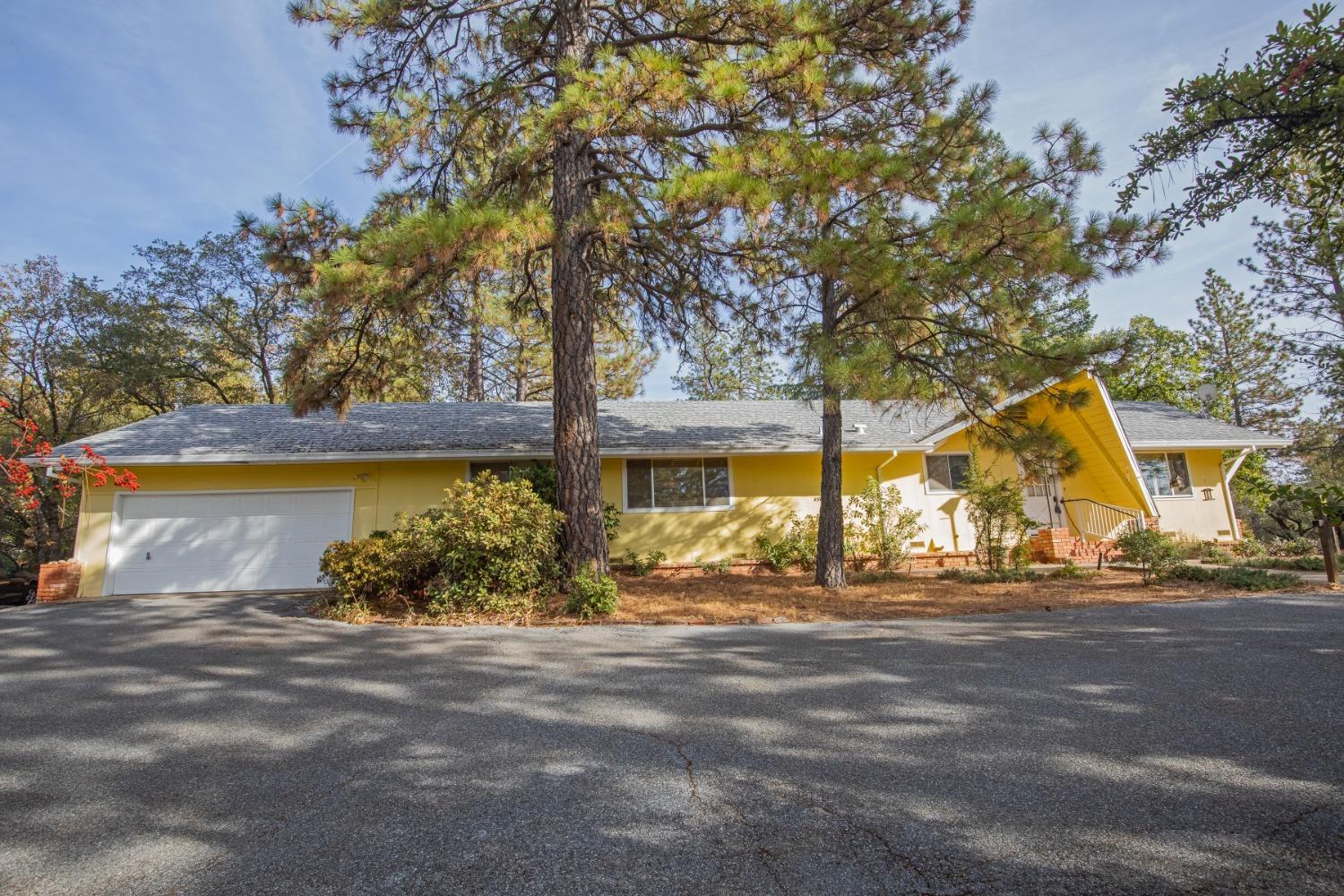 a view of a house with large trees and a yard