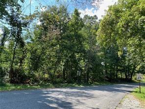 a view of backyard with green space