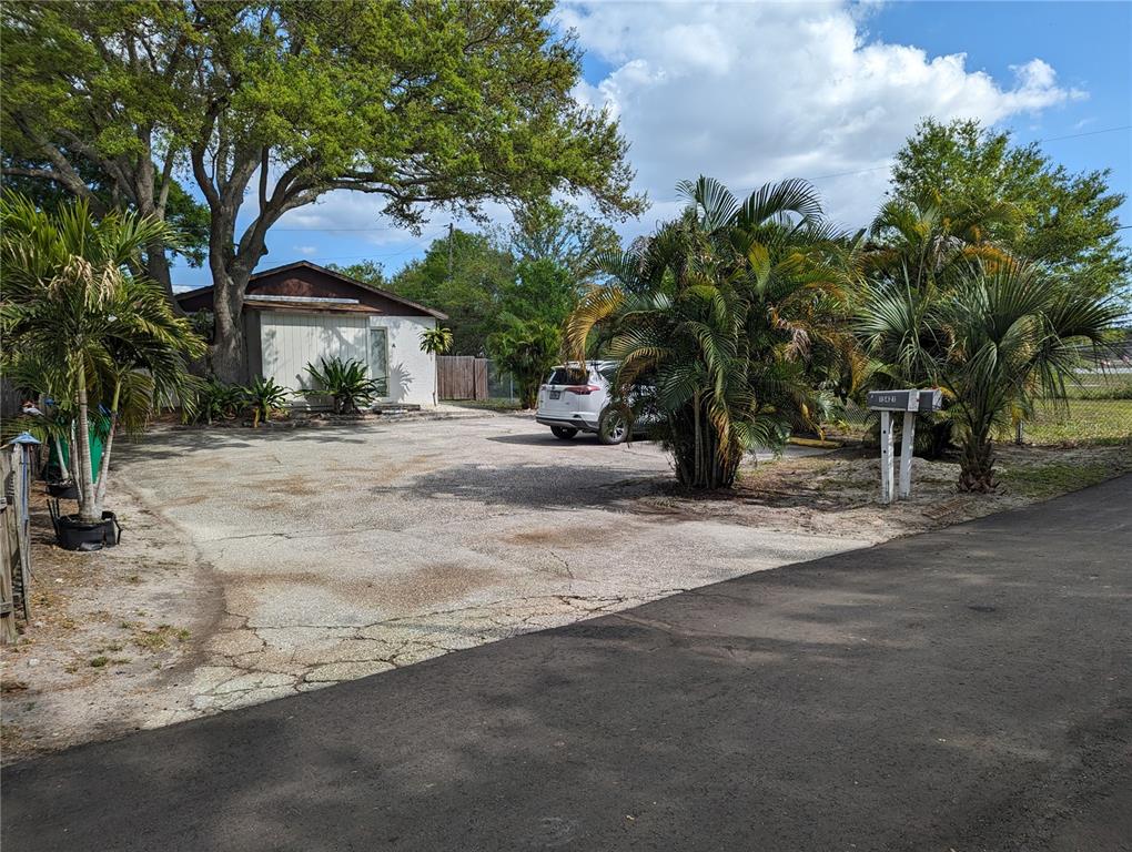 a row of palm trees in front of house