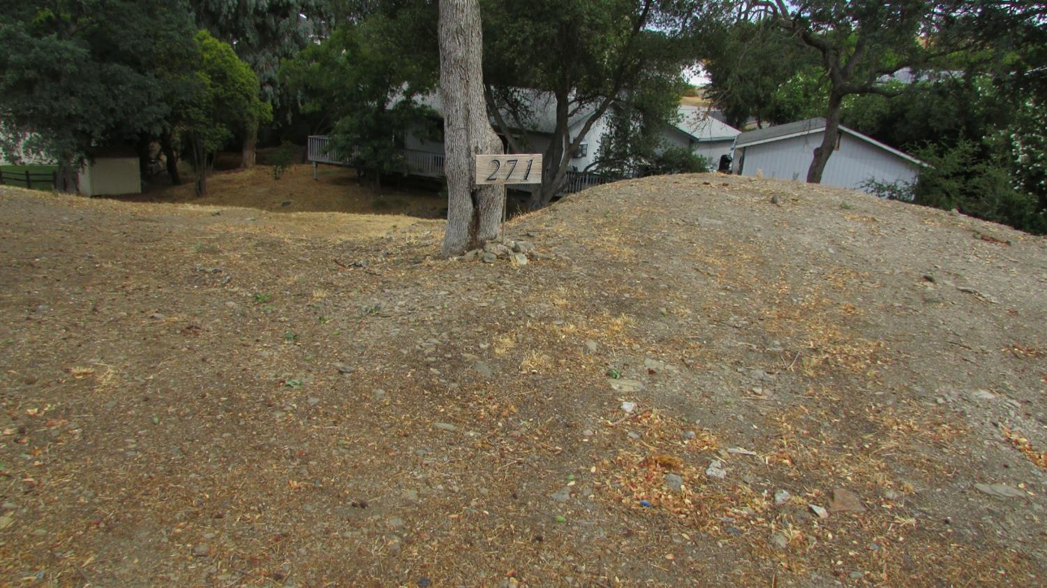 a view of outdoor space and yard