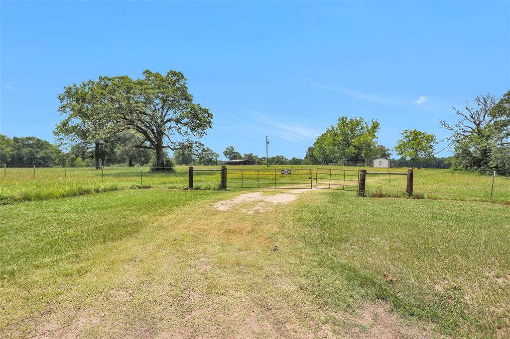 a view of a big yard with a large trees