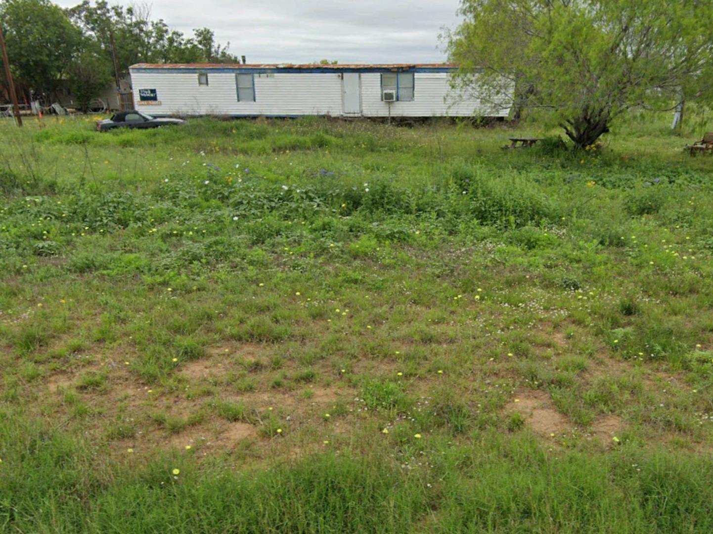 a view of a big yard with large trees