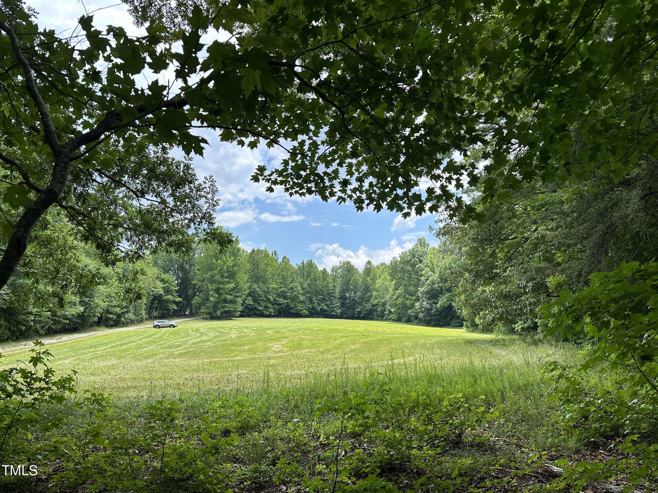 a view of a field with a tree