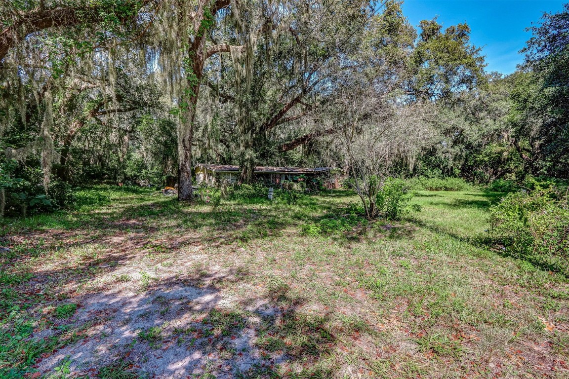 a big yard with lots of green space and deers