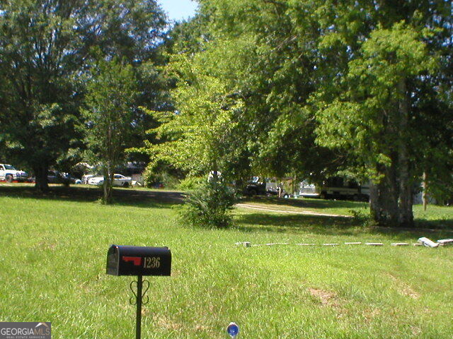 a view of yard with green space