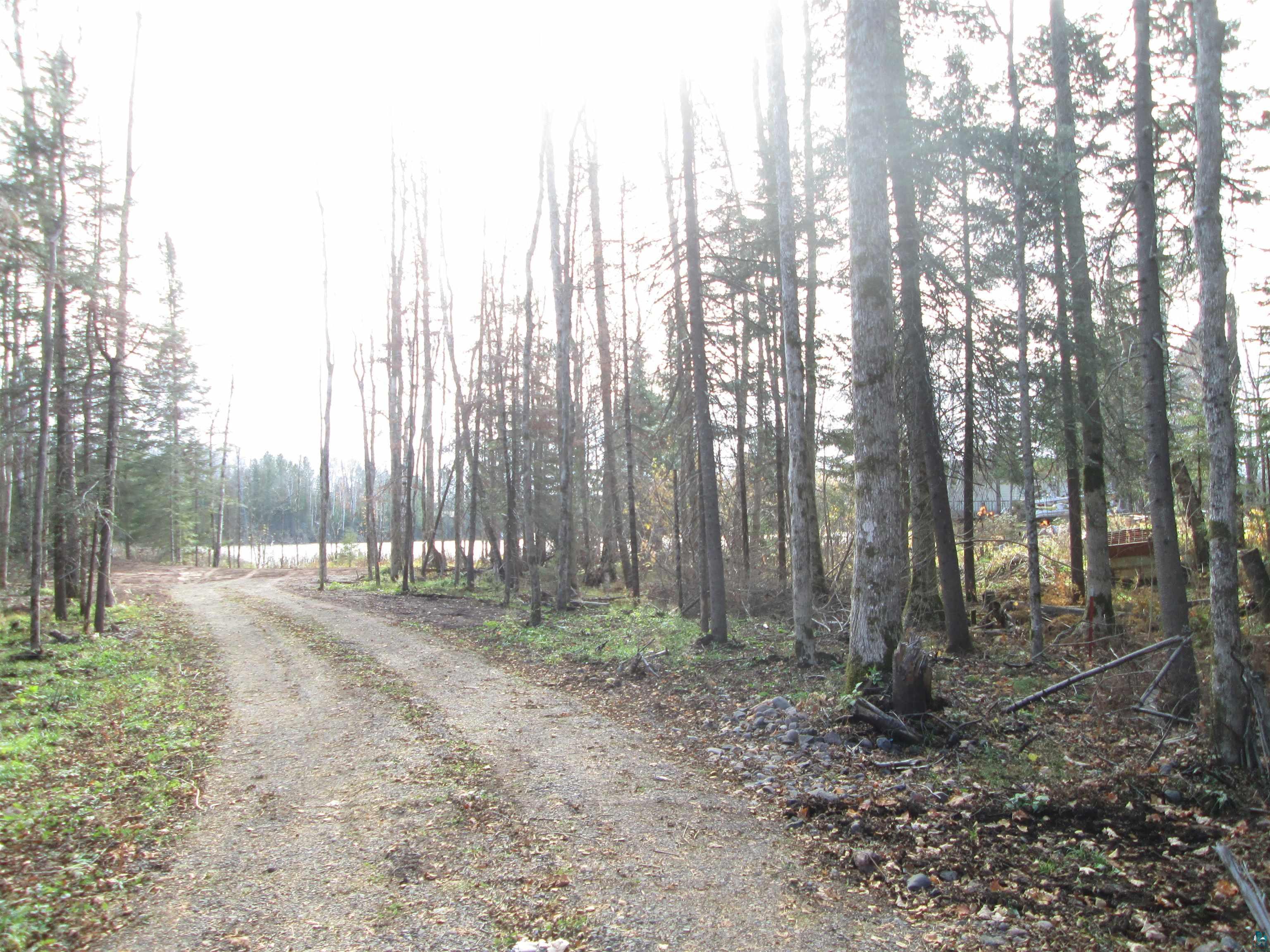 View of street