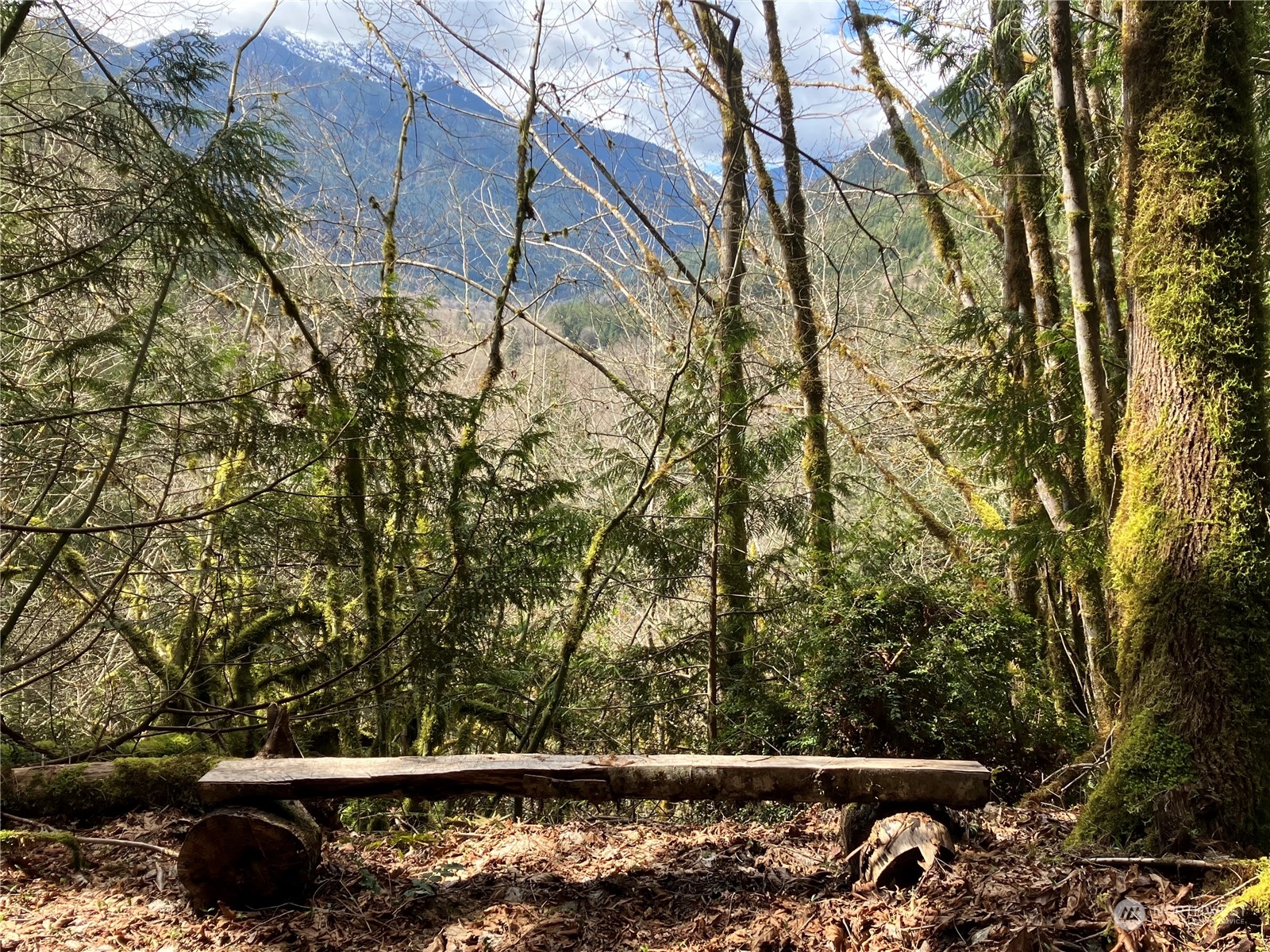 a view of mountain view with large trees