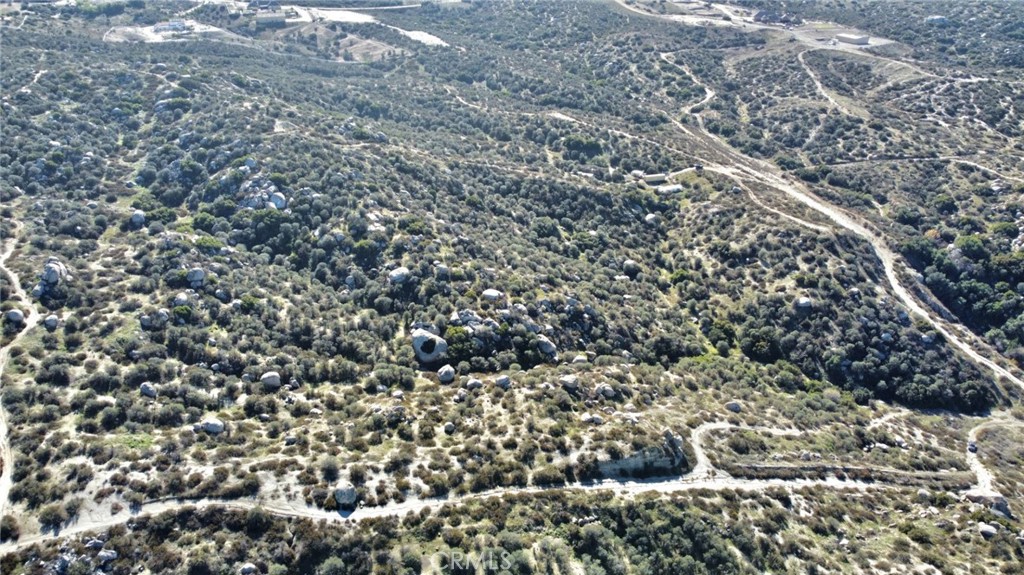 a view of a large tree