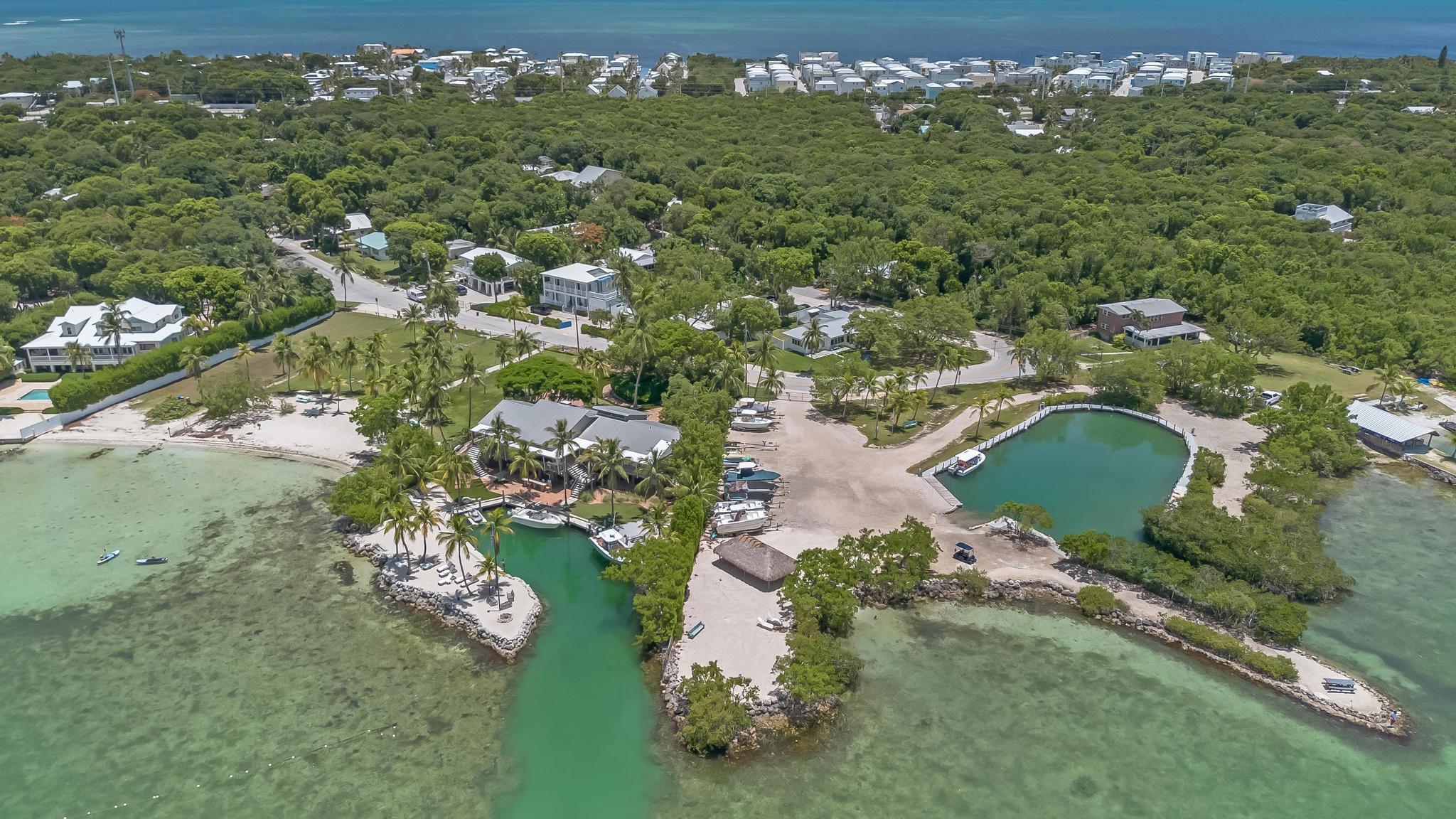 an aerial view of residential houses with outdoor space and trees