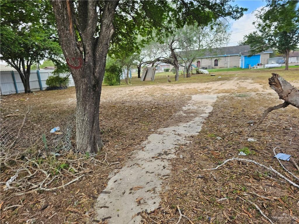 a view of a yard with a tree