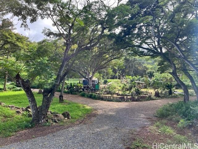 a view of a garden with trees