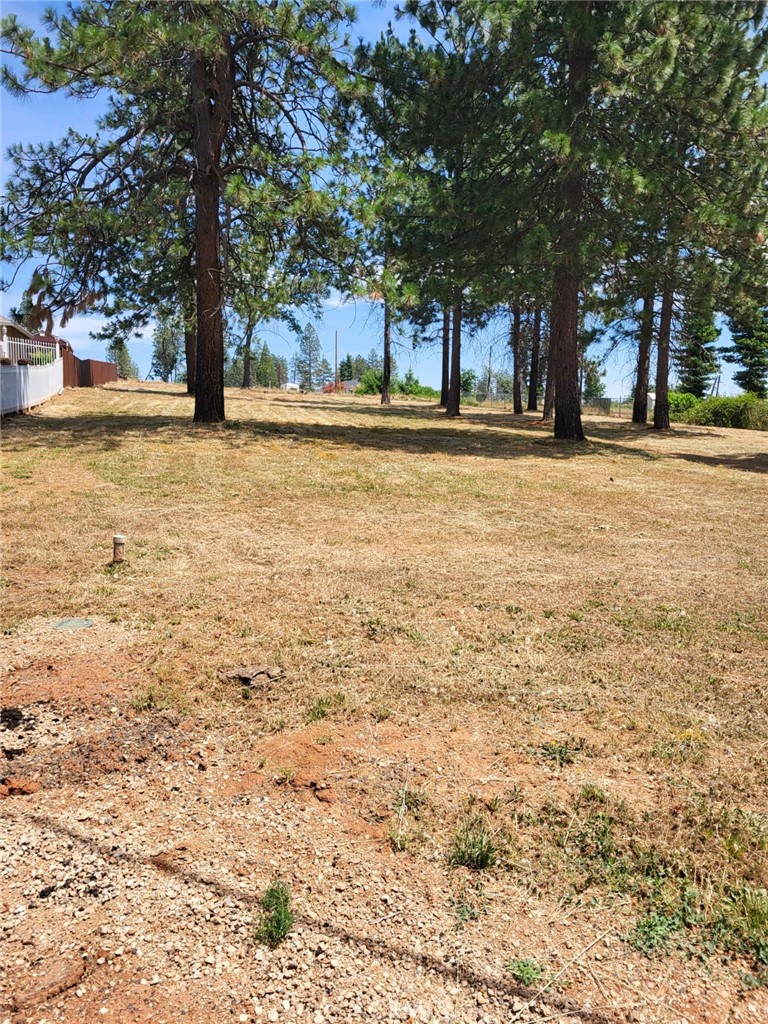 a view of outdoor space with trees