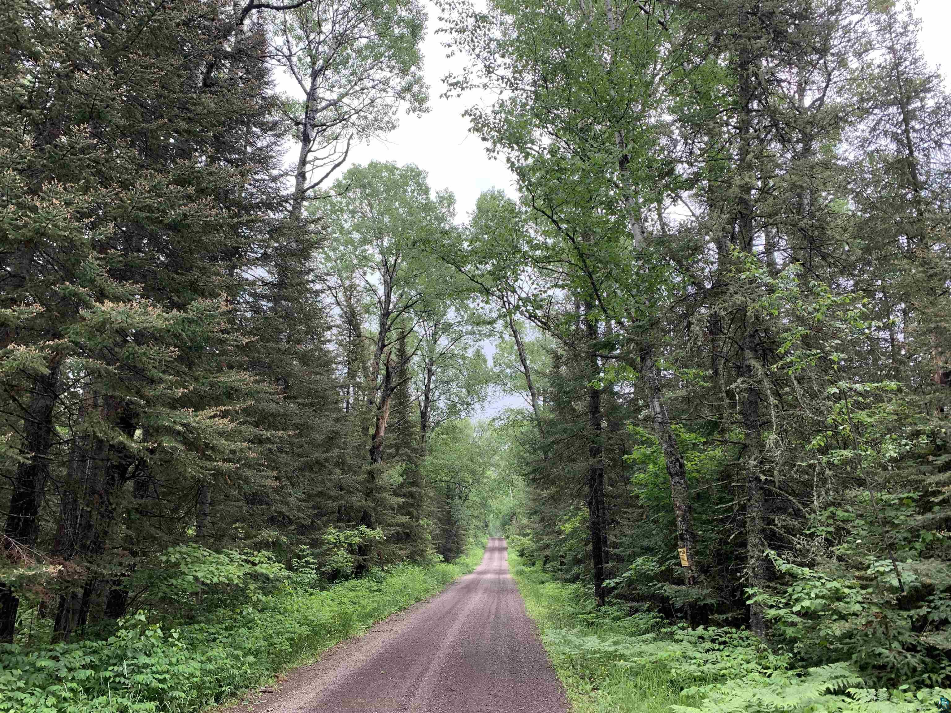 Xxx Honeymoon Trail, Lutsen, MN 55612 | Compass