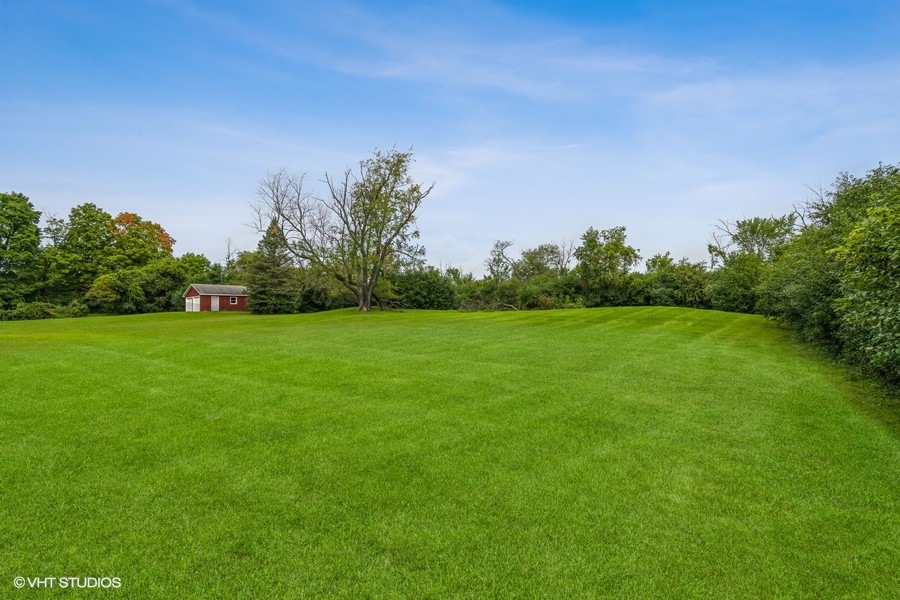 a backyard with a garden and trees