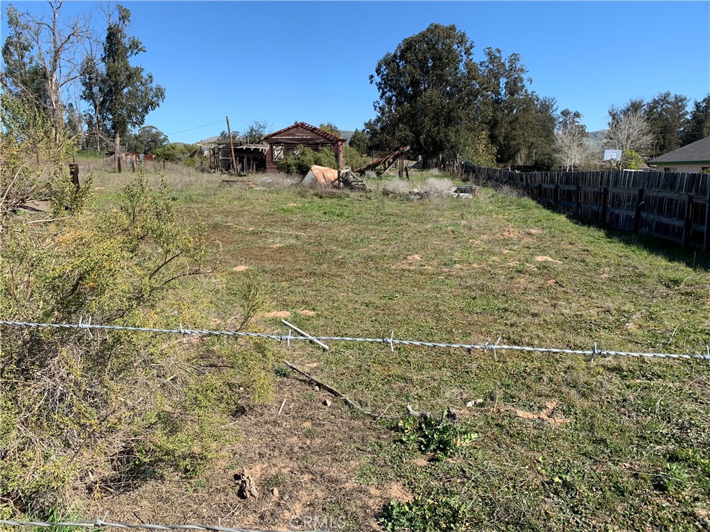 a view of a backyard