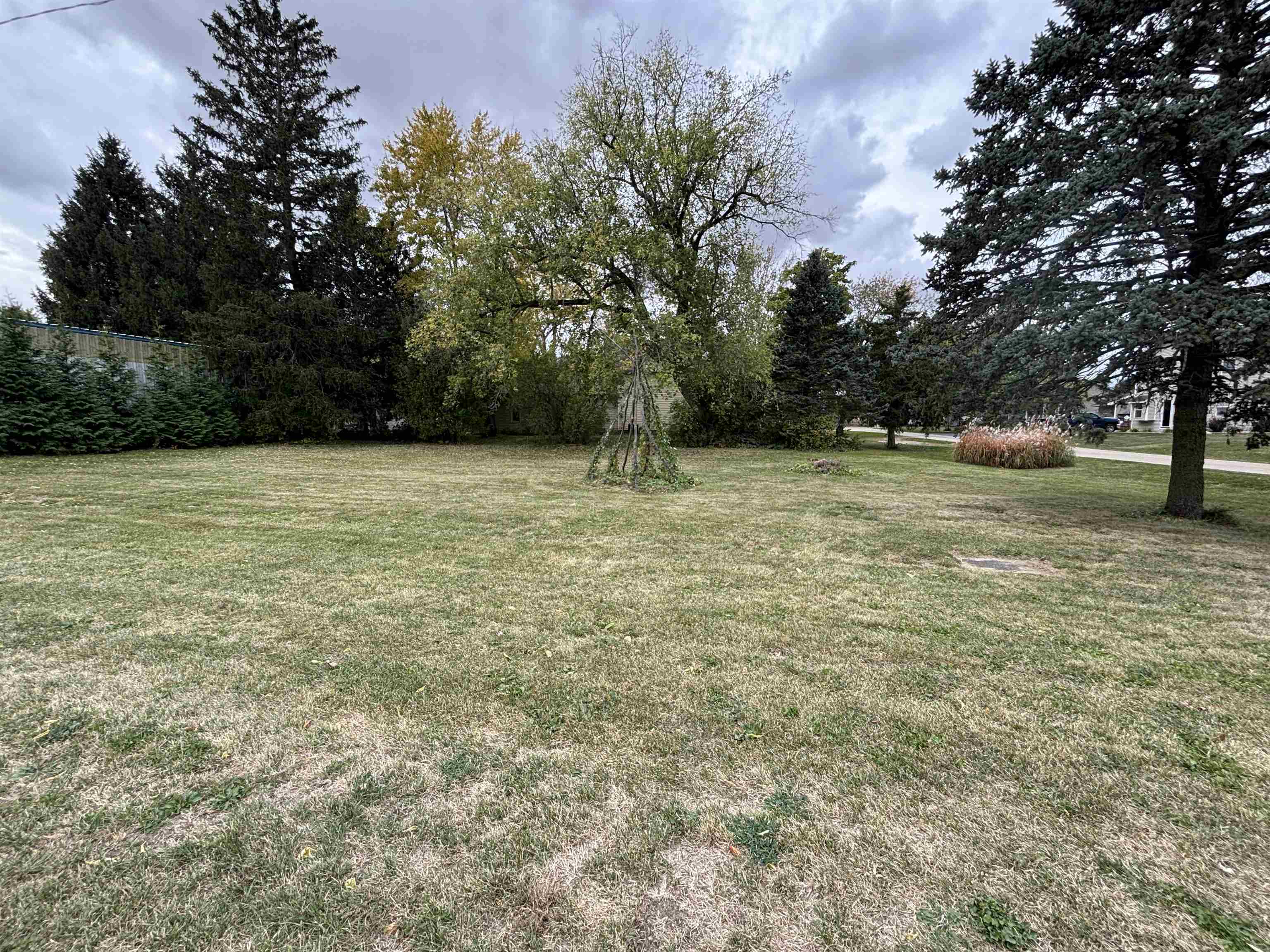 a view of outdoor space with trees all around