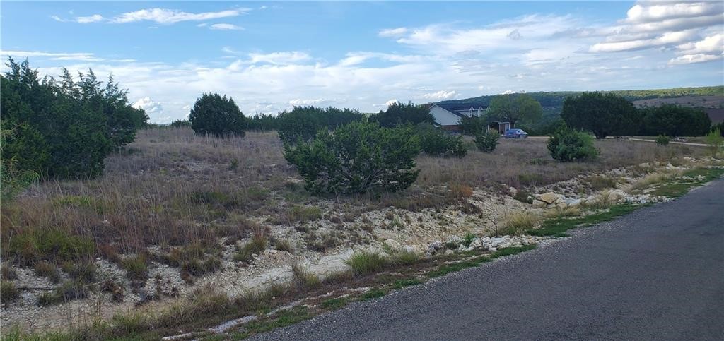 a view of a dry yard with wooden fence