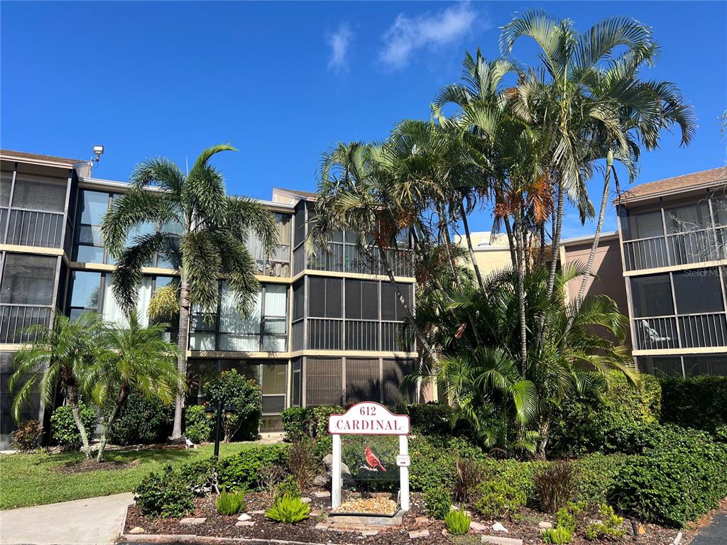 a palm tree sitting in front of a house with a yard