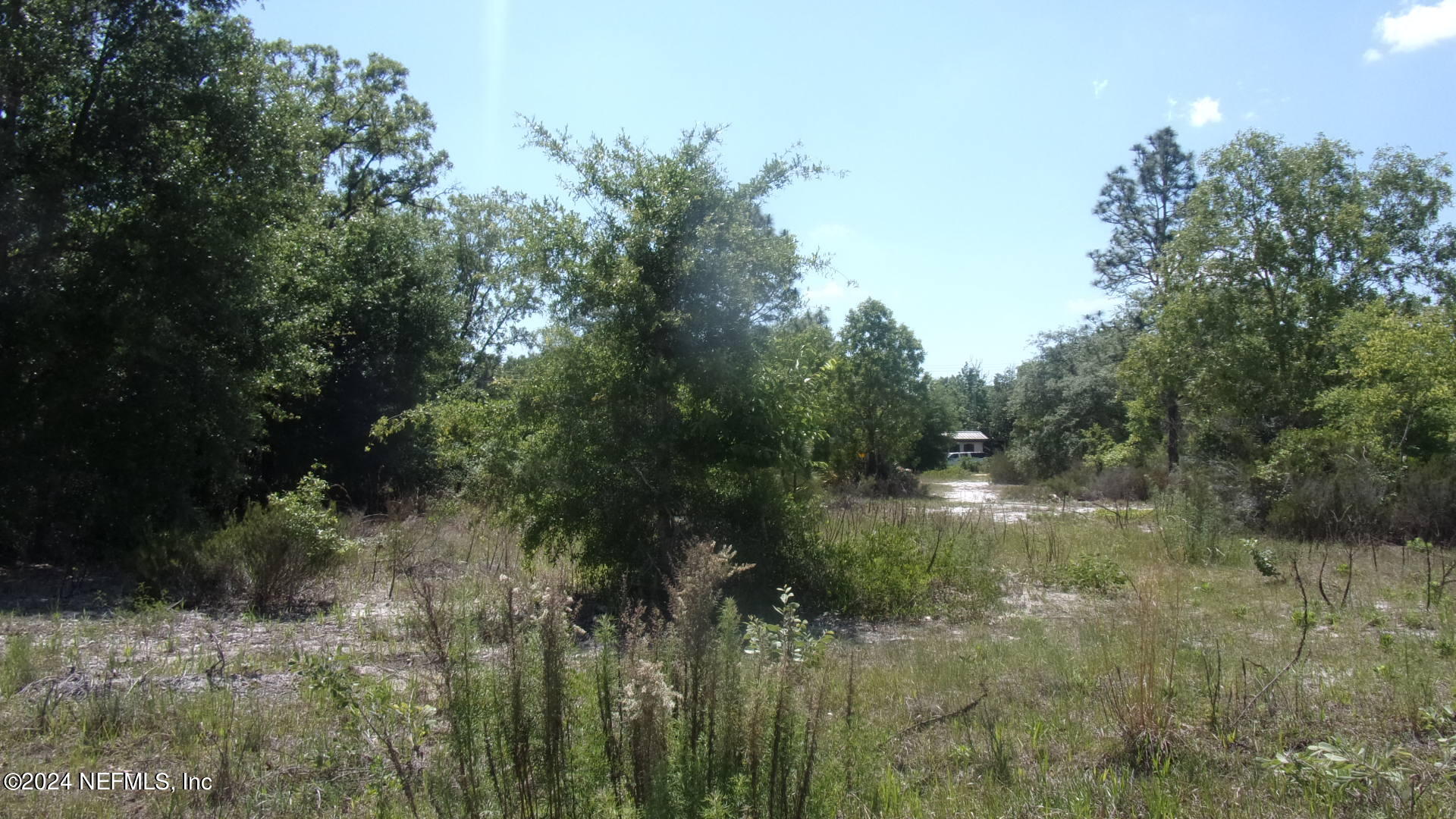 a view of a lake view with lots of trees