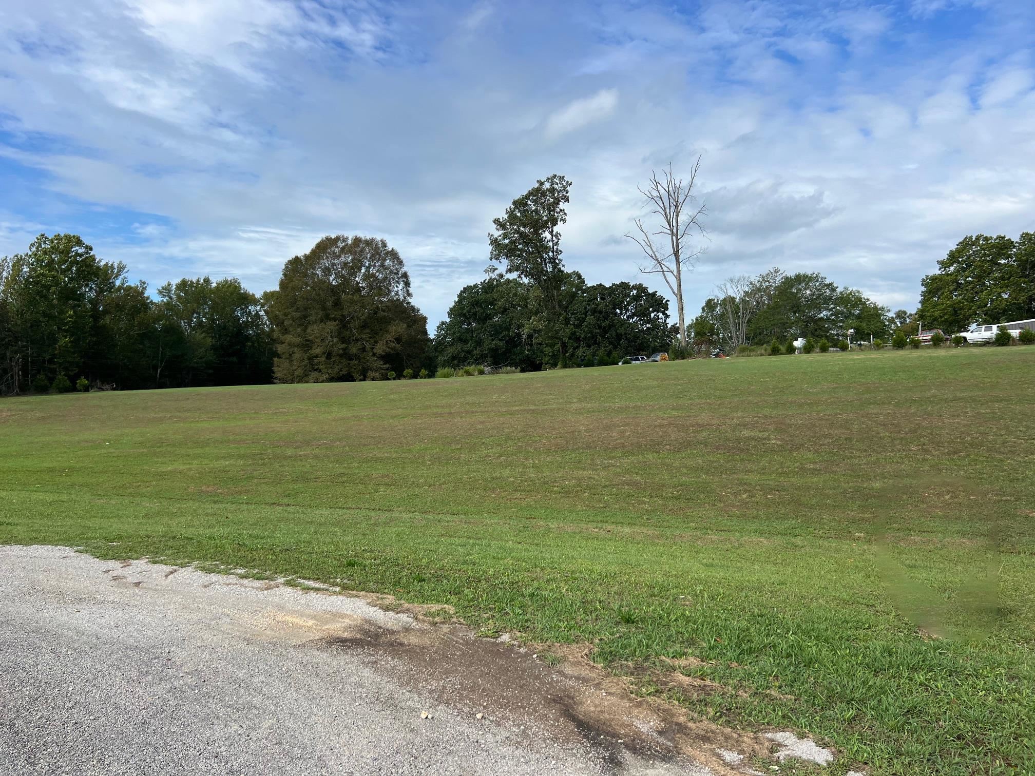 a view of a field with an ocean